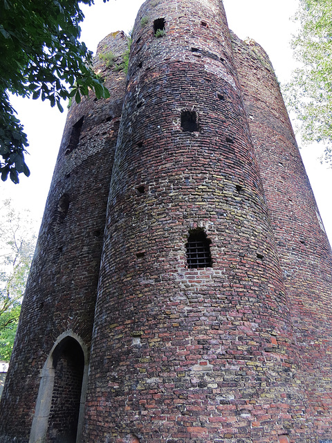 cow tower norwich (1)