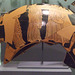 Fragment of a Red-Figure Cup Attributed to Makron in the Princeton University Art Museum, July 2011