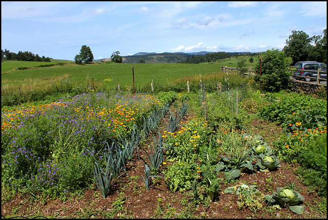 Potager de montagne