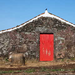 blackbird_reddoor