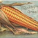 Thanksgiving Greetings