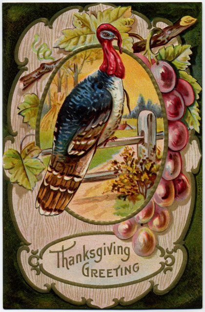 Thanksgiving Greeting