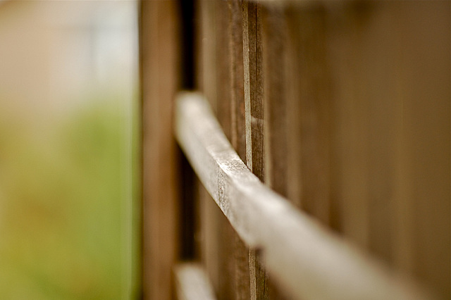 Depth-of-Field Bananas