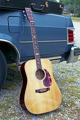 Lotus Acoustic Guitar