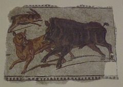 Hare and Boar Hunting Scene Mosaic from Sousse in the Bardo Museum, June 2014