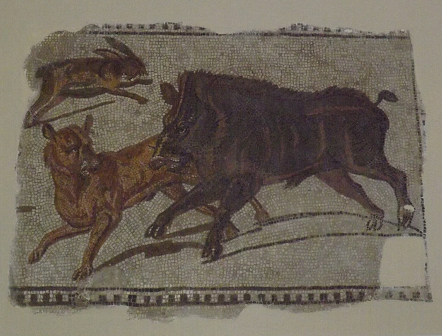 Hare and Boar Hunting Scene Mosaic from Sousse in the Bardo Museum, June 2014