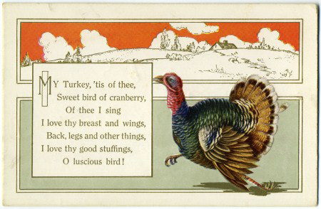 My Turkey 'Tis of Thee
