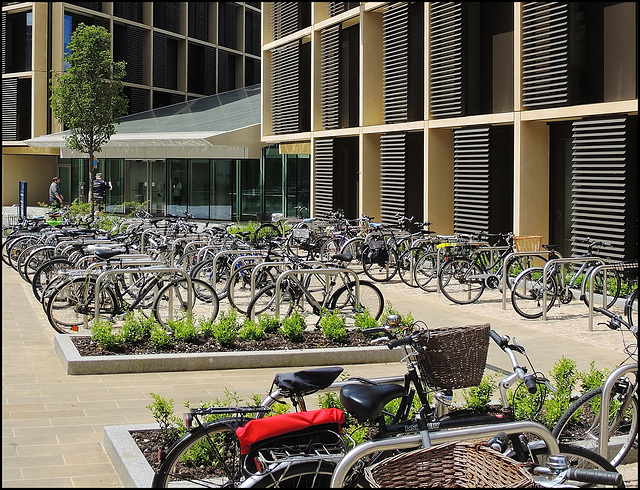 Andrew Wiles Building, Oxford (1)