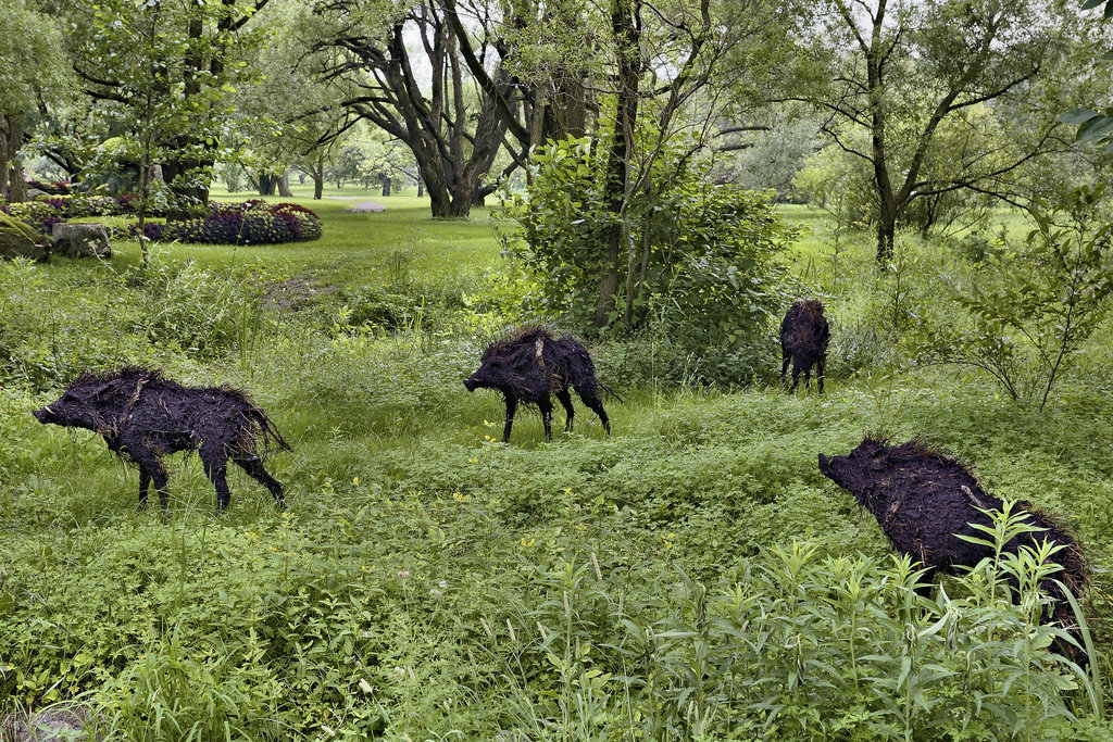 The Boars of Sally Island – Mosaïcultures Internationales de Montréal, Botanical Garden, Montréal, Québec