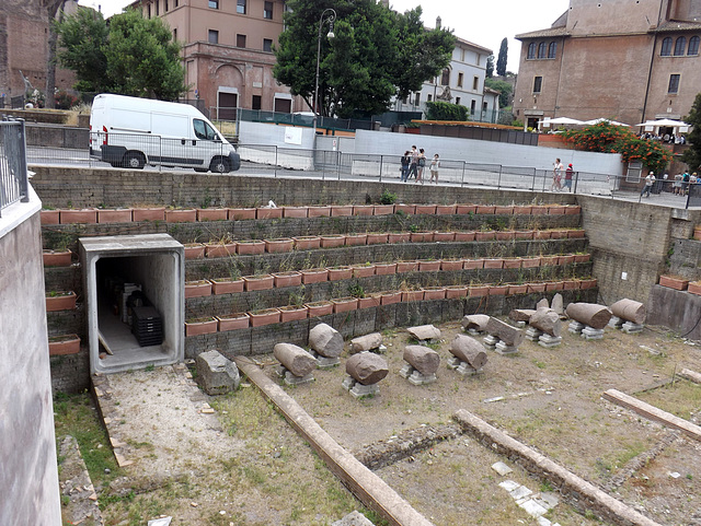 Reconstructed Plantings in the Templum Pacis, June 2014