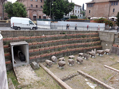 Reconstructed Plantings in the Templum Pacis, June 2014