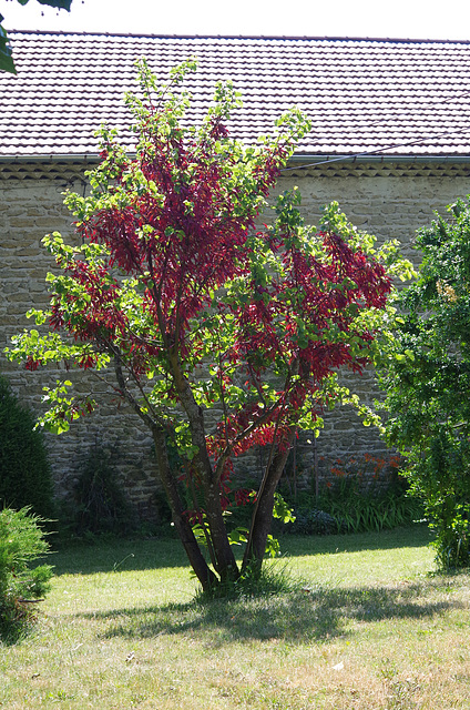 Montoison Drôme