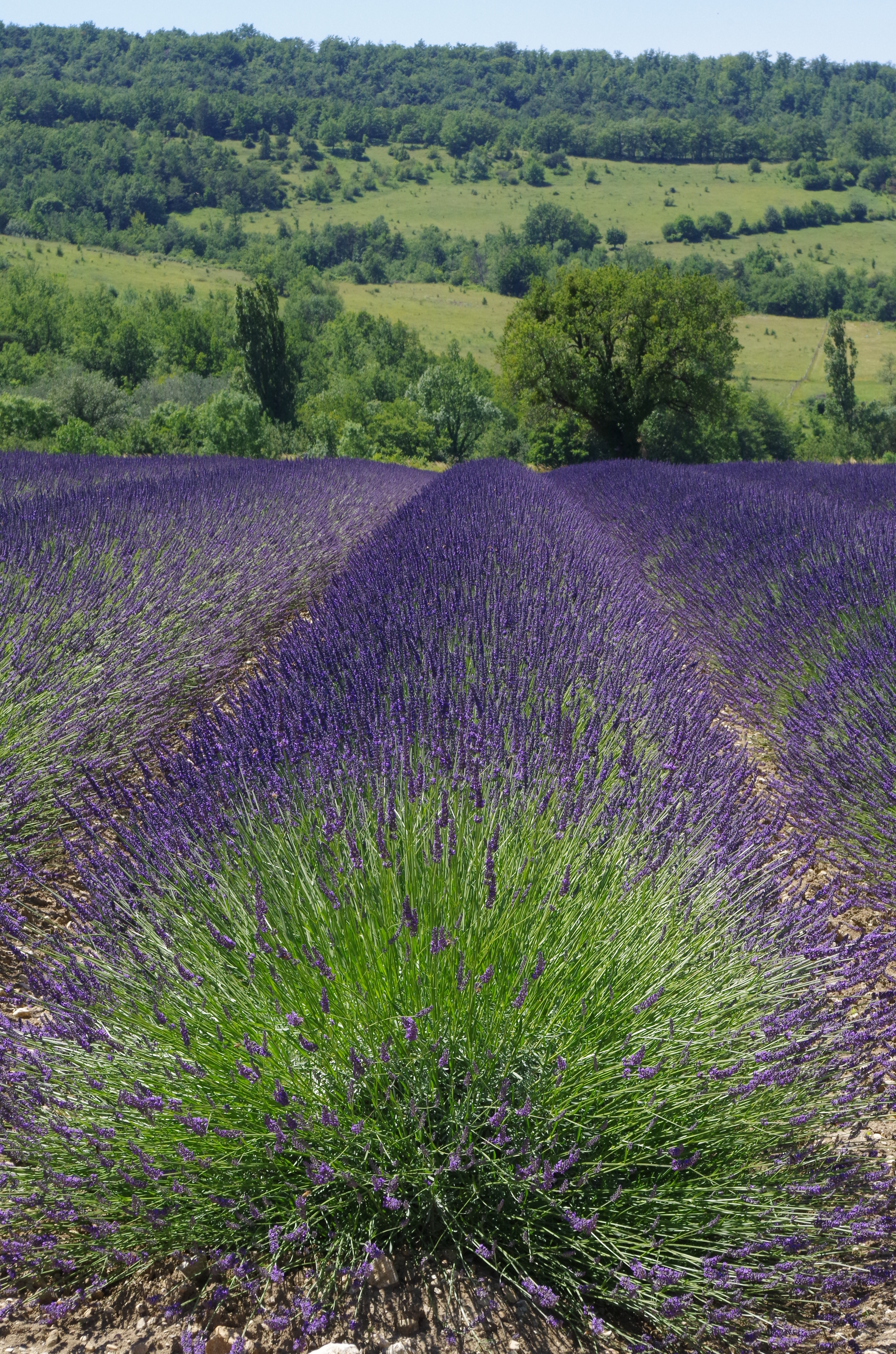 Drôme