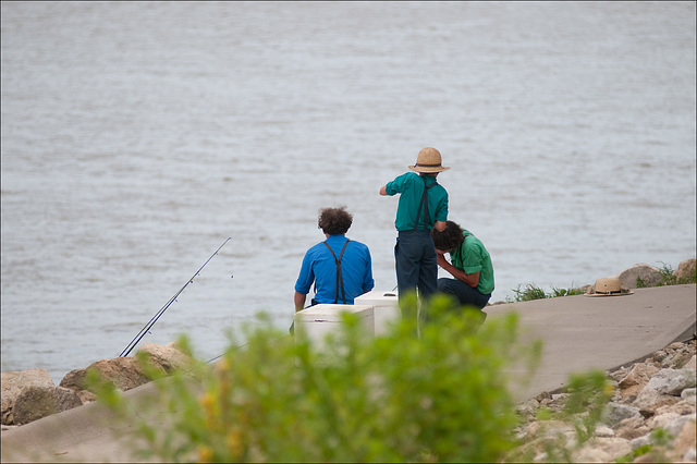 Life on the Mississippi