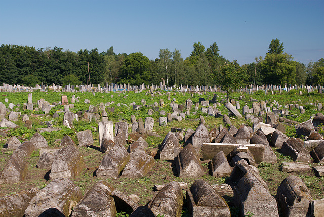 Der alte judische Friedhof in Berdytschiw