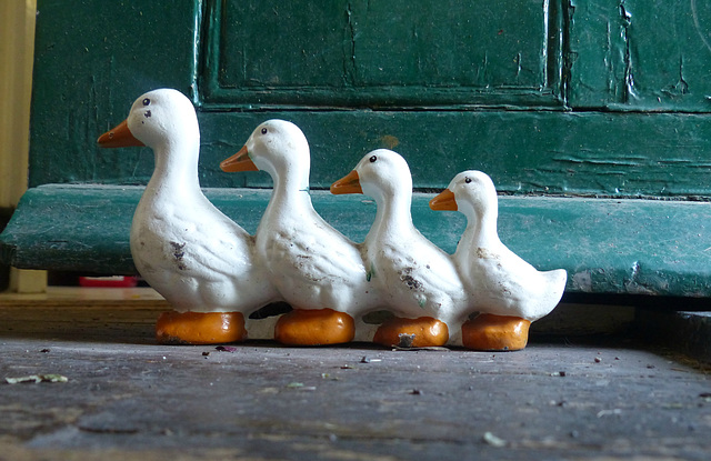 Ducks in a Row - 9 July 2014