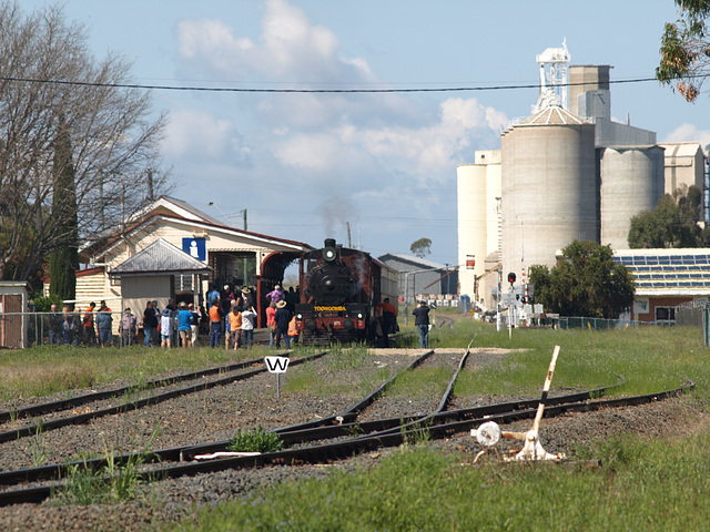 201409CarnivalTrain 093