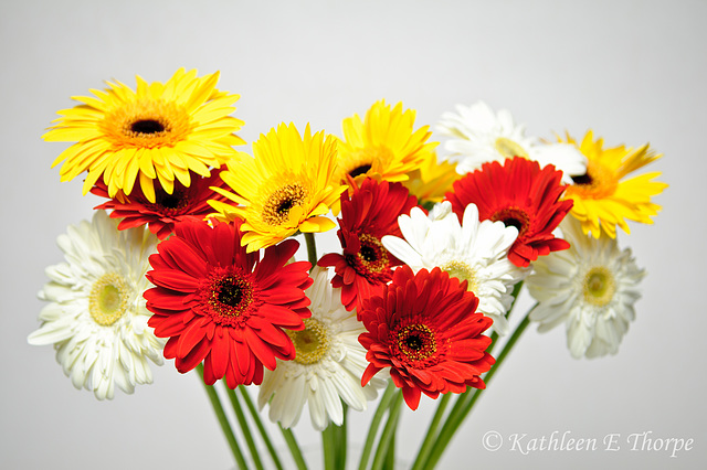 Gerbera Daisy Bouquet with Vignette