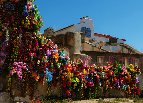 Disoriented  -   castelo de S. Jorge
