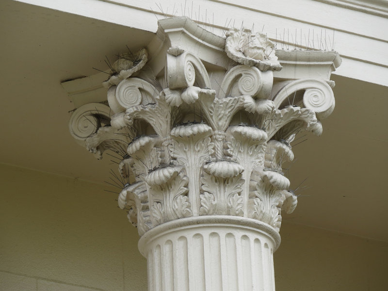 clarence terrace,regents park, london