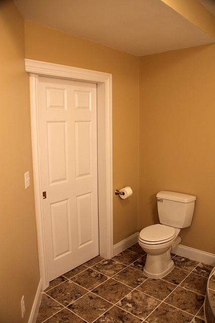 The New Bathroom