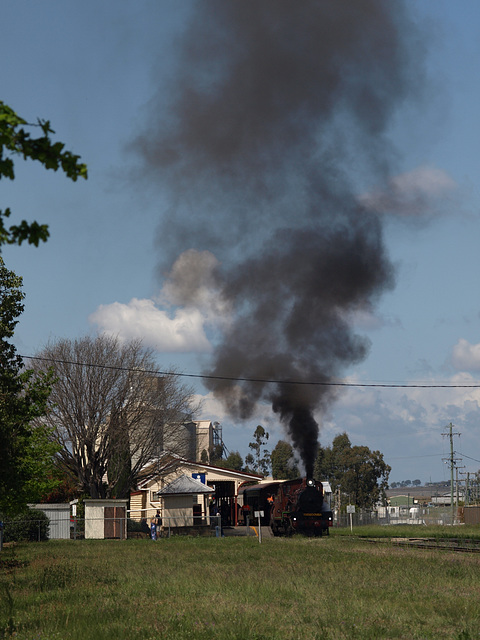 201409CarnivalTrain 099