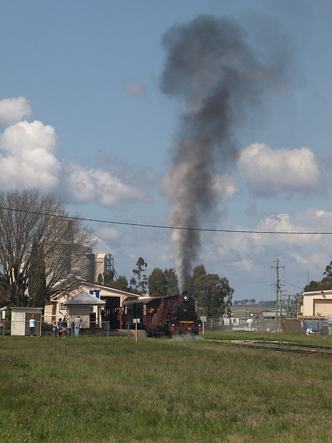 201409CarnivalTrain 101