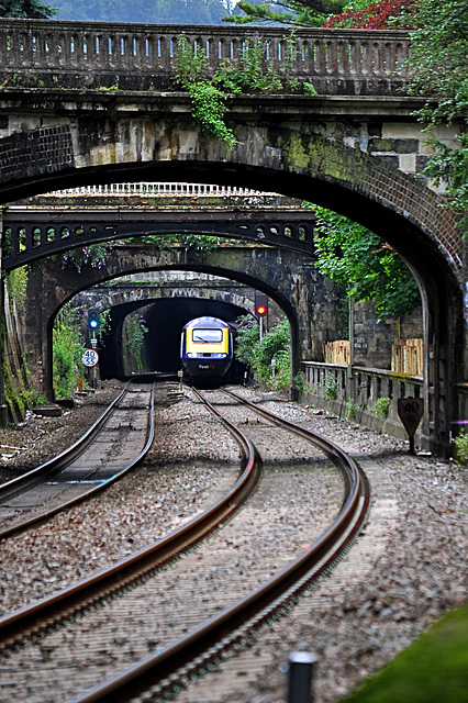 Sydney Gardens Bridges