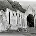 Ruines du prieuré de la Ste-Trinité à Beaumont-le-Roger