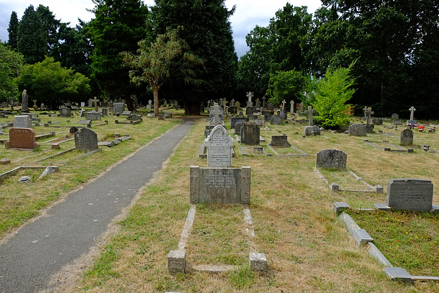 Fujifilm XF 18-135 6 Gravestone @ 18mm