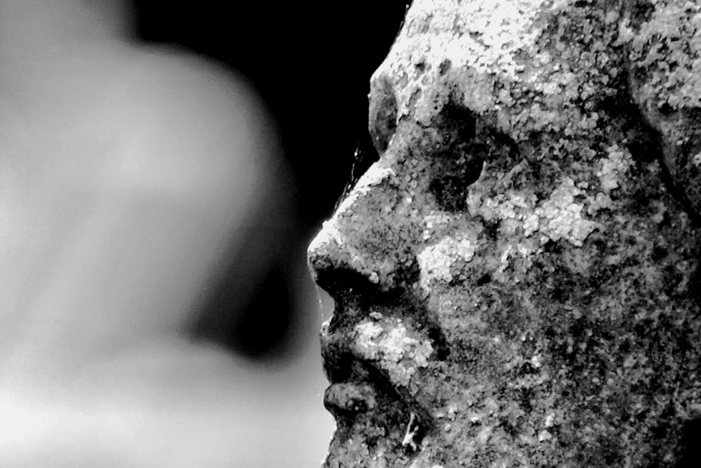 Fujifilm XF 18-135 10 Jesus @ 135mm mono 100% crop