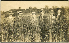 Men Out Standing in Their Field, Ohio, 1909