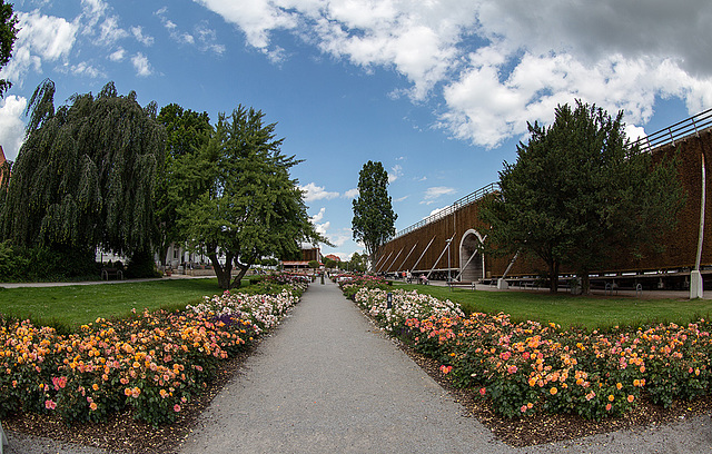 20140626 3601VRFw [D~LIP] Rosengarten, Bad Salzuflen