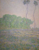 Detail of Meadow at Giverny by Monet in the Princeton University Art Museum, July 2011