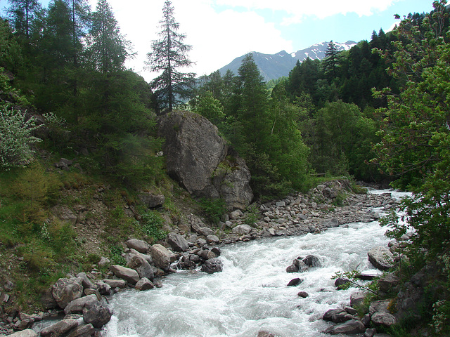 Sejour SAVOIE juin 2014 (36)