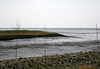 Wurster Nordseeküste