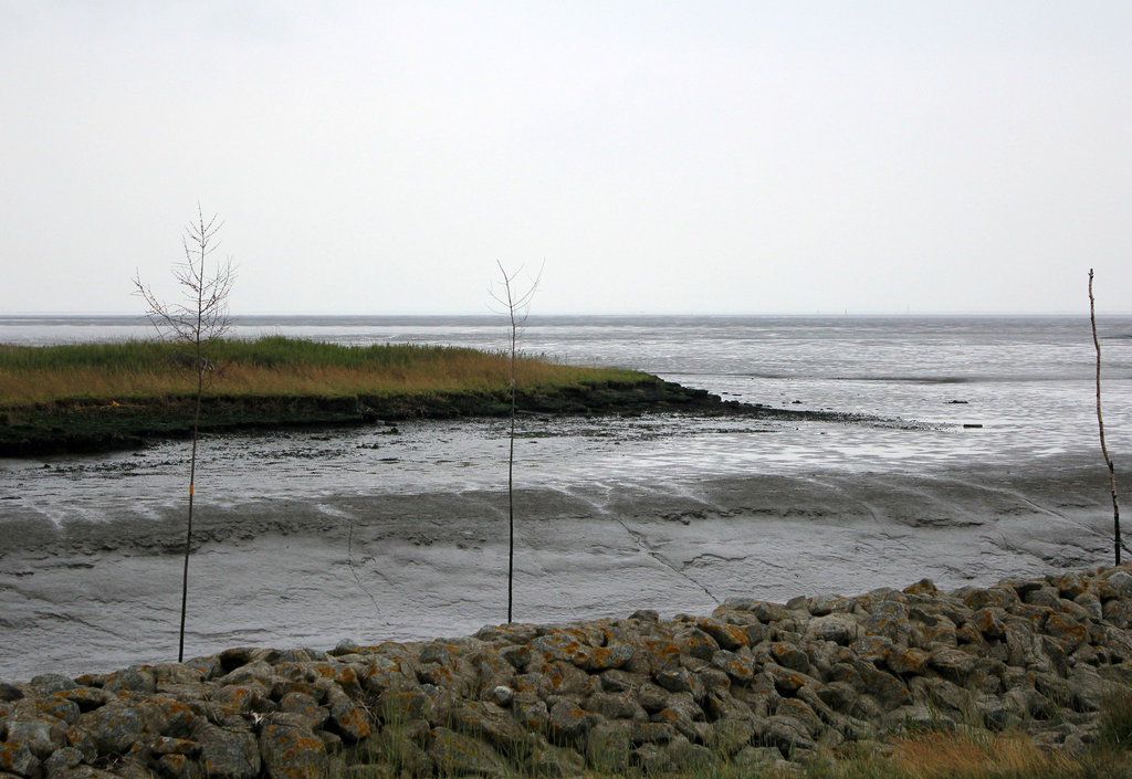 Wurster Nordseeküste