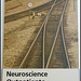 on track for neuroscience