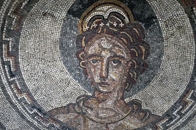 mosaic bignor DSC 8530a2