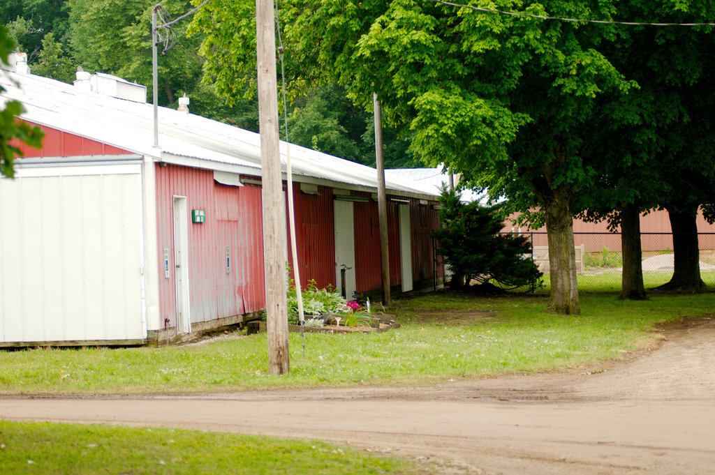 The Small Animal Barn