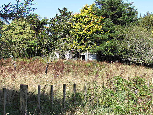 Hut in the Trees