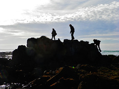 Phillip Island: the Basque view