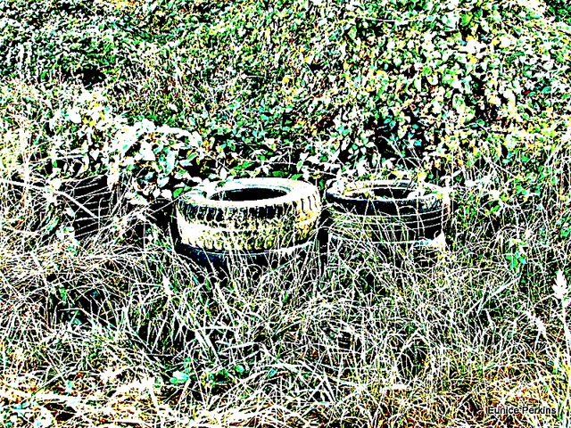 Old Abandoned Tyres