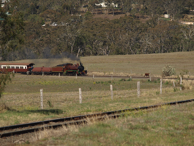 201409CarnivalTrain 157