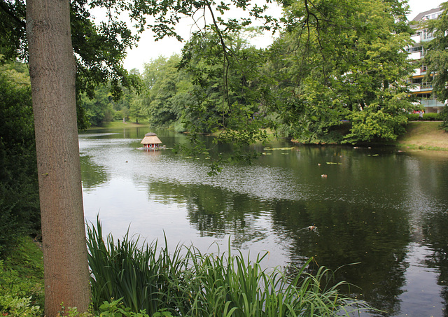 Teich in Bremen