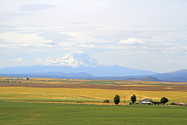 Mount Adams from U.S. Route 97