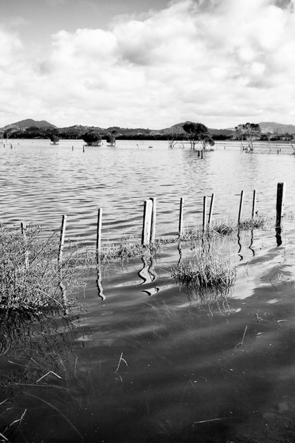 Both Sides Of A Fence