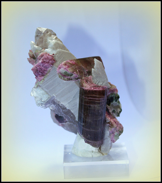 Tourmaline sur Quartz - Minas Gerais