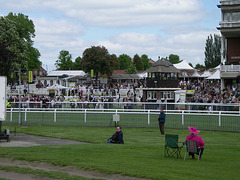 IMGP2377