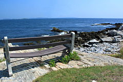 Seaside bench